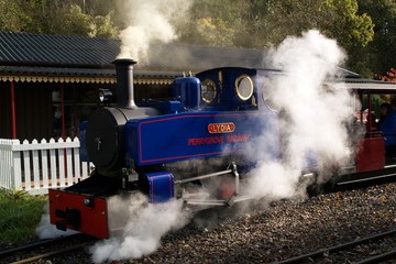 Perrygrove Railway Steam Railway